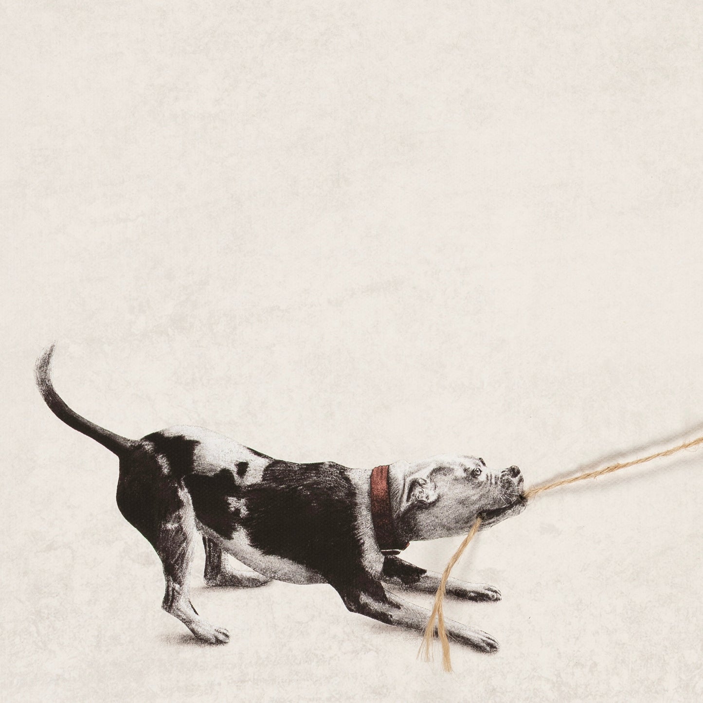 Andrew Scott –  Tyson (2025)