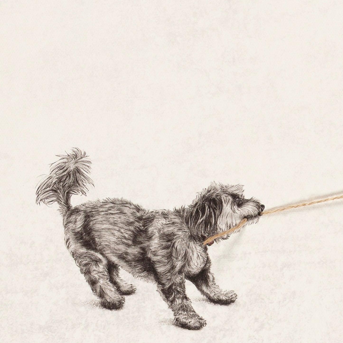 Andrew Scott –  Smudge (2025)