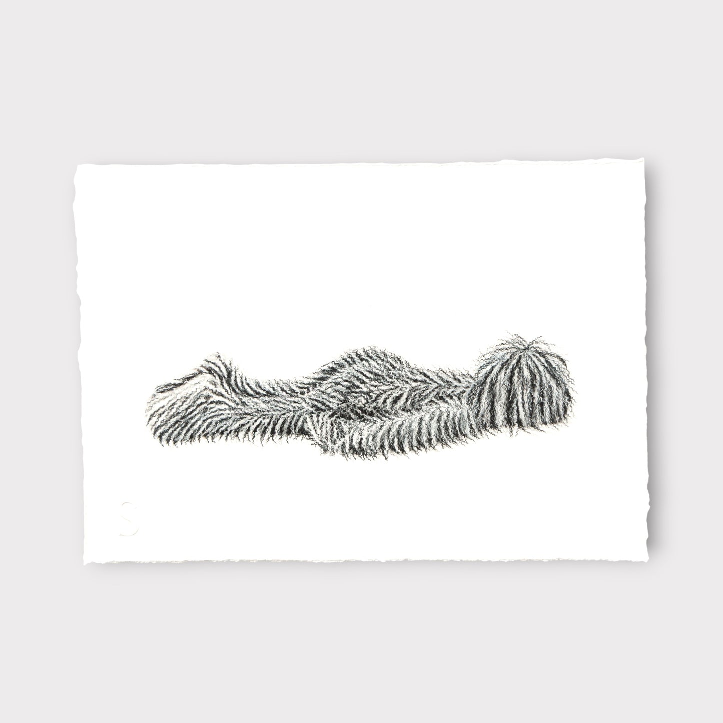 Hairy Monster - Felix (2025)