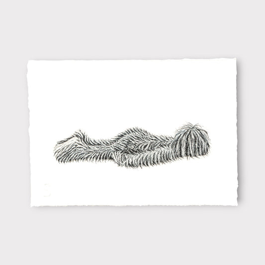 Hairy Monster - Felix (2025)