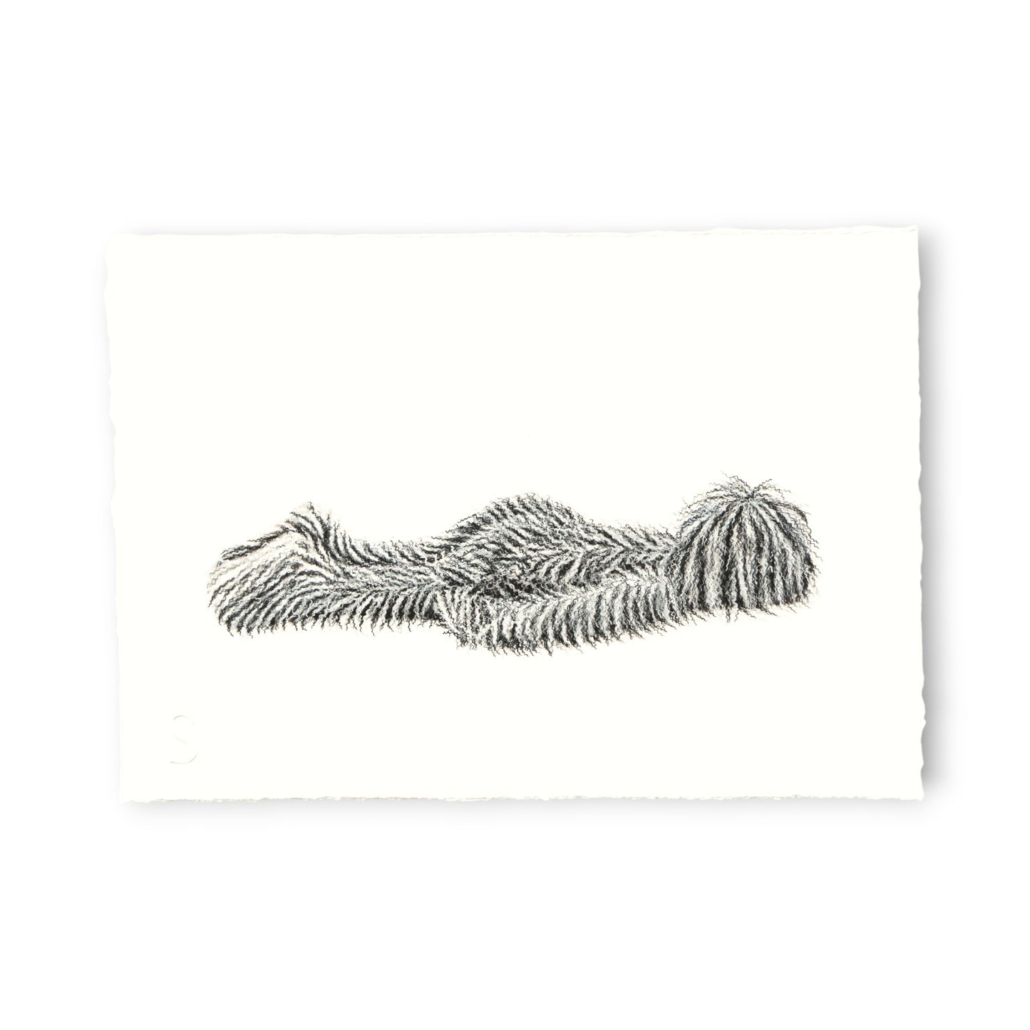 Hairy Monster - Felix (2025)