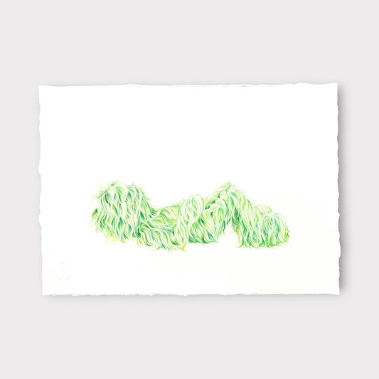 Hairy Monster - Thomas (2025)