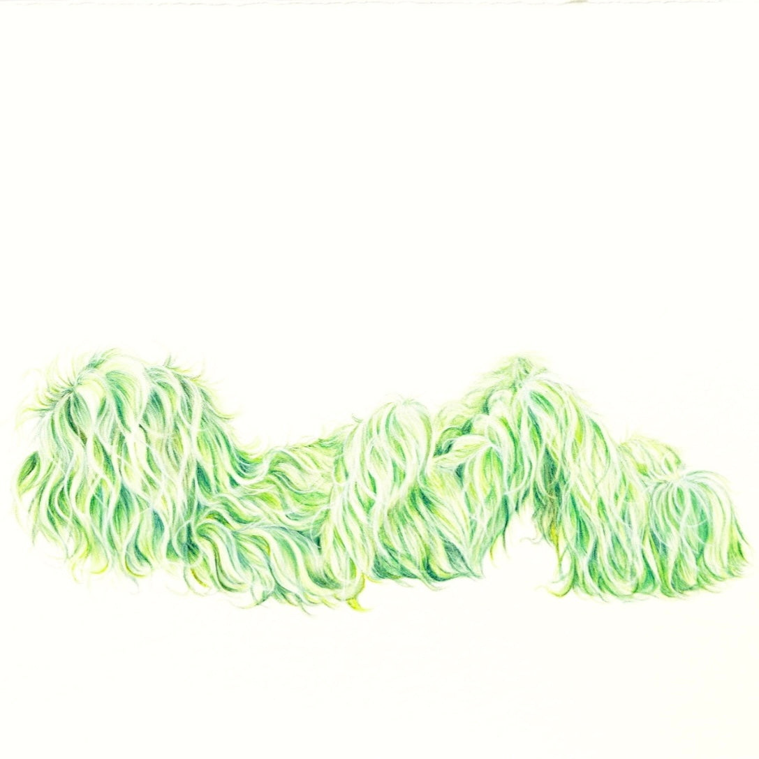 Hairy Monster - Thomas (2025)