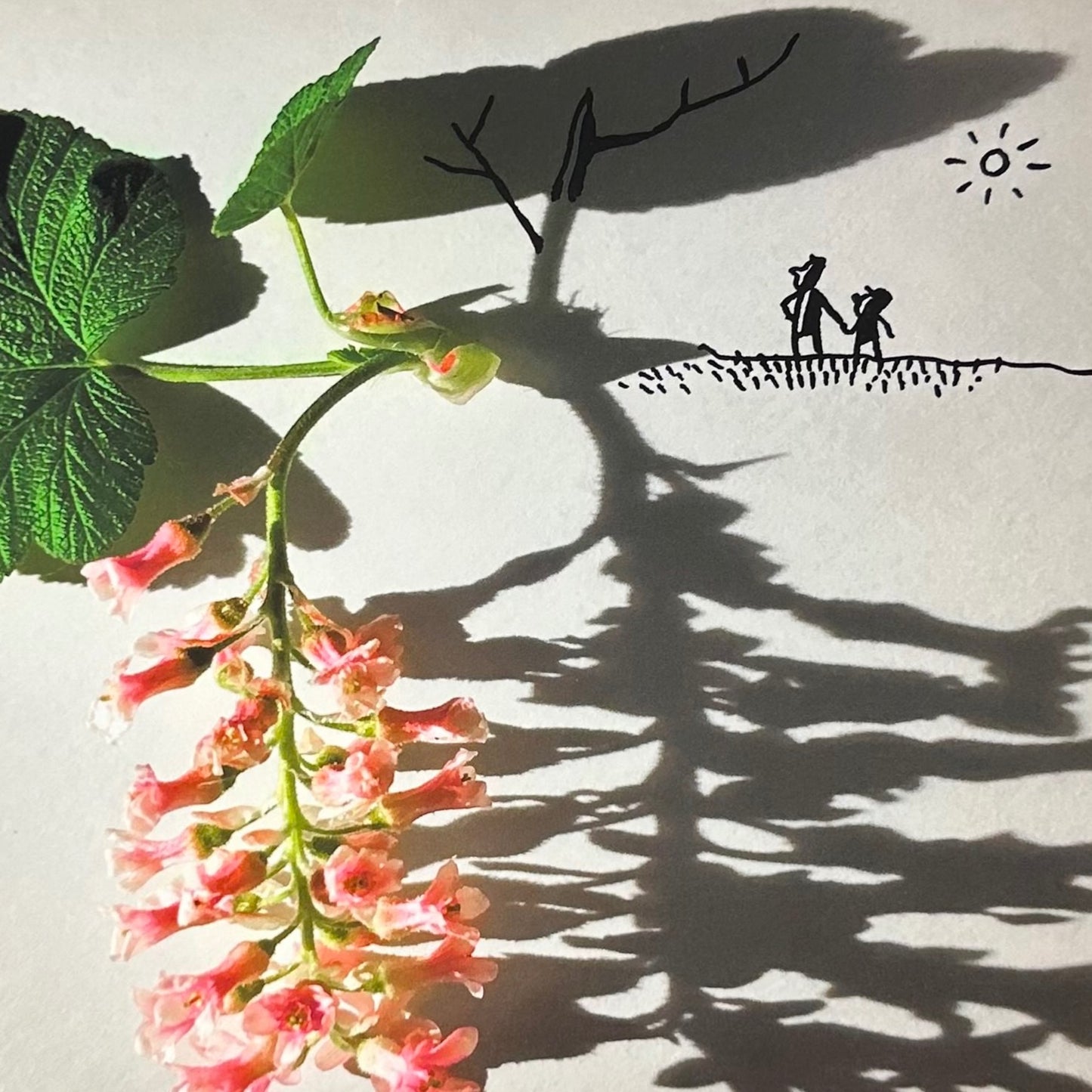Vincent Bal - Strong Plants Have Deep Roots (2025)