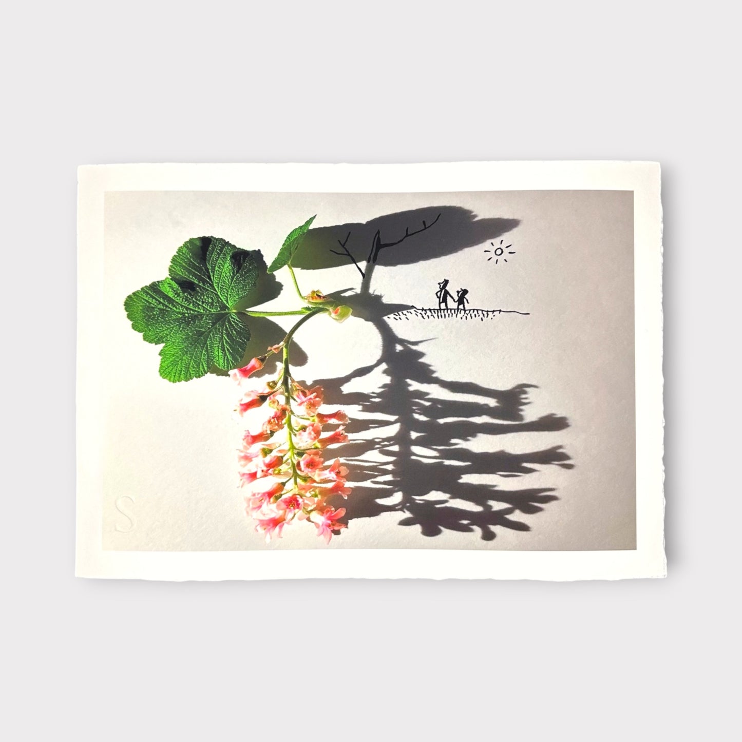 Vincent Bal - Strong Plants Have Deep Roots (2025)