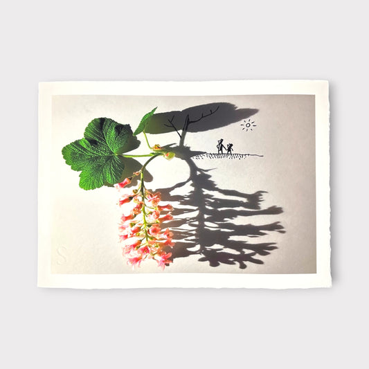 Vincent Bal - Strong Plants Have Deep Roots (2025)