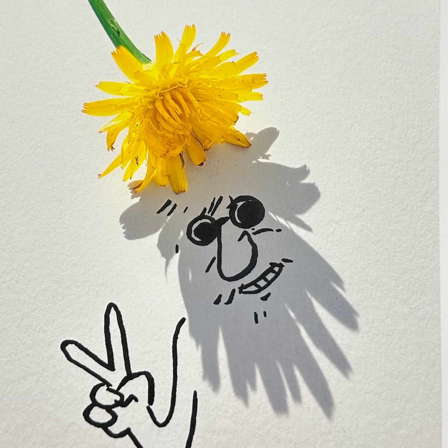 Vincent Bal - Flower Power (2025)