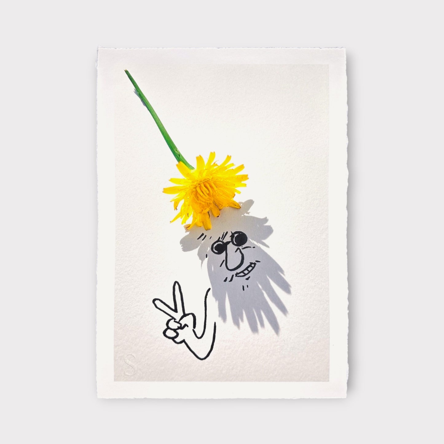 Vincent Bal - Flower Power (2025)