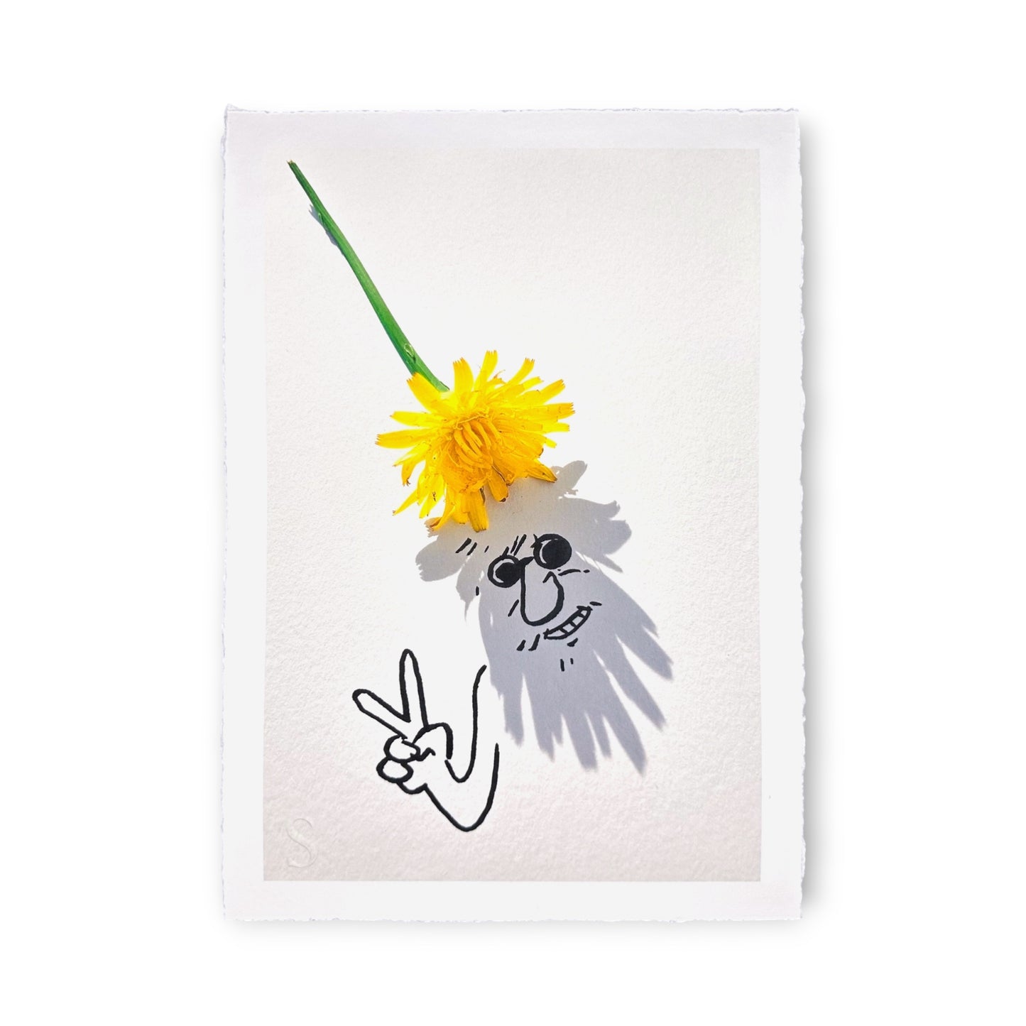 Vincent Bal - Flower Power (2025)