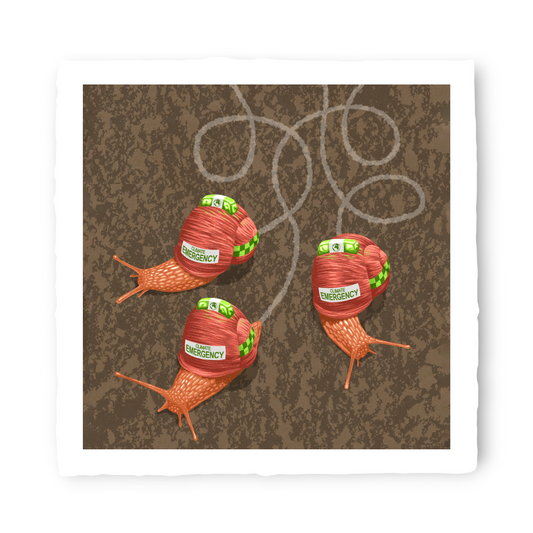 John Holcroft - Climate Emergency (2026)