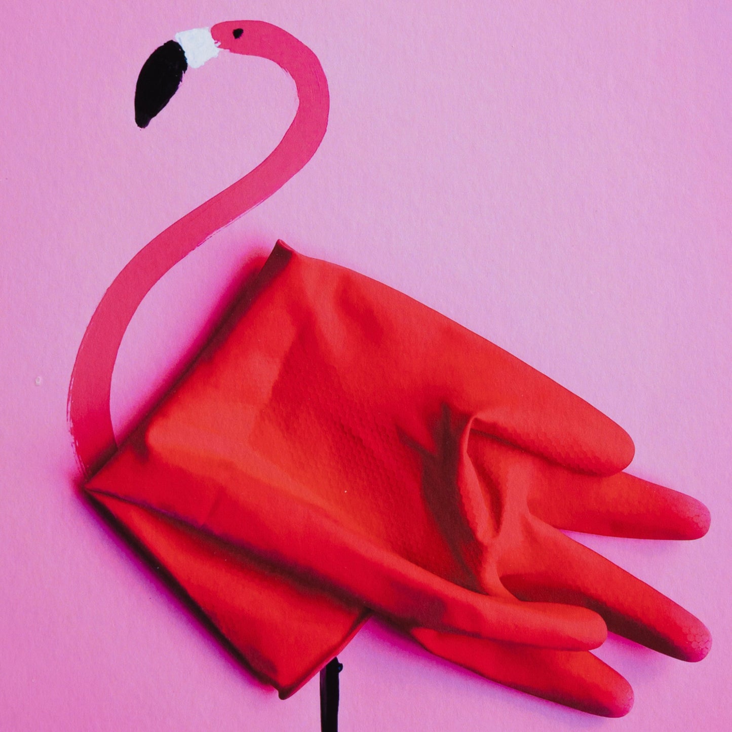 Romain Joly - Flamingo (2025)