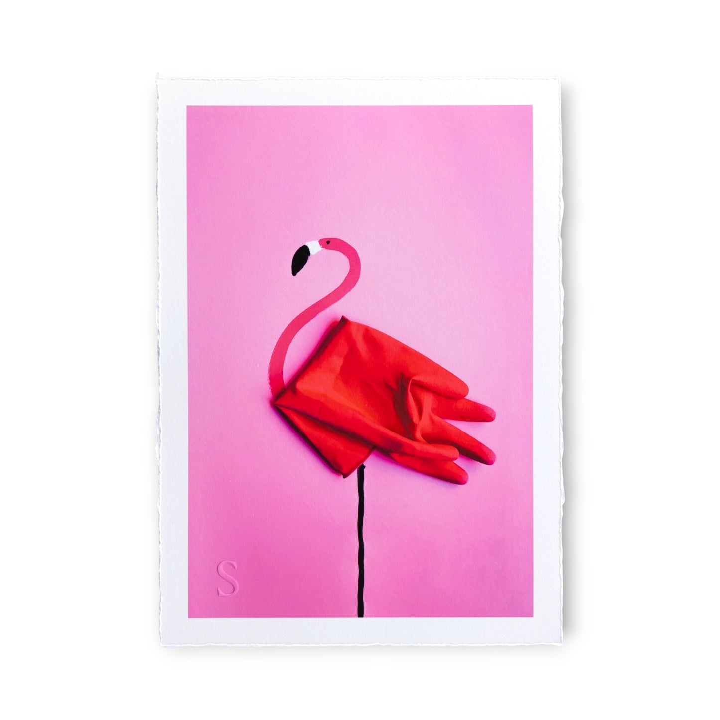Romain Joly - Flamingo (2025)
