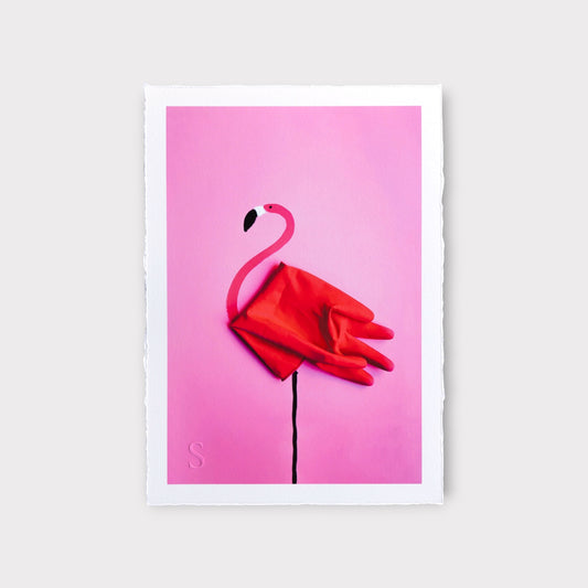Romain Joly - Flamingo (2025)