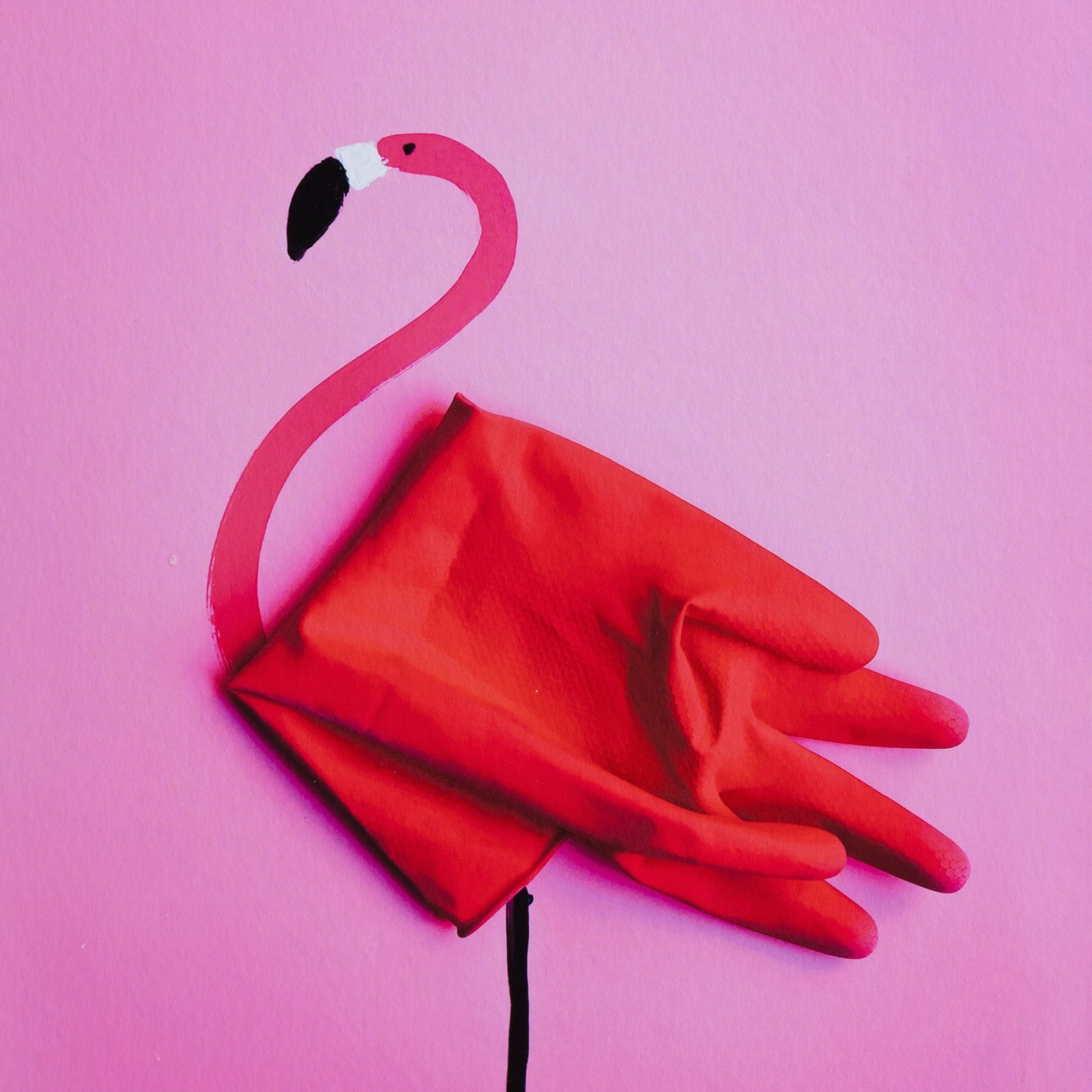 Romain Joly - Flamingo (2025)