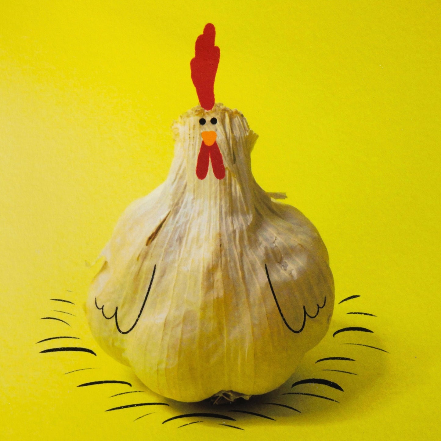 Romain Joly - Garlic Chicken (2025)