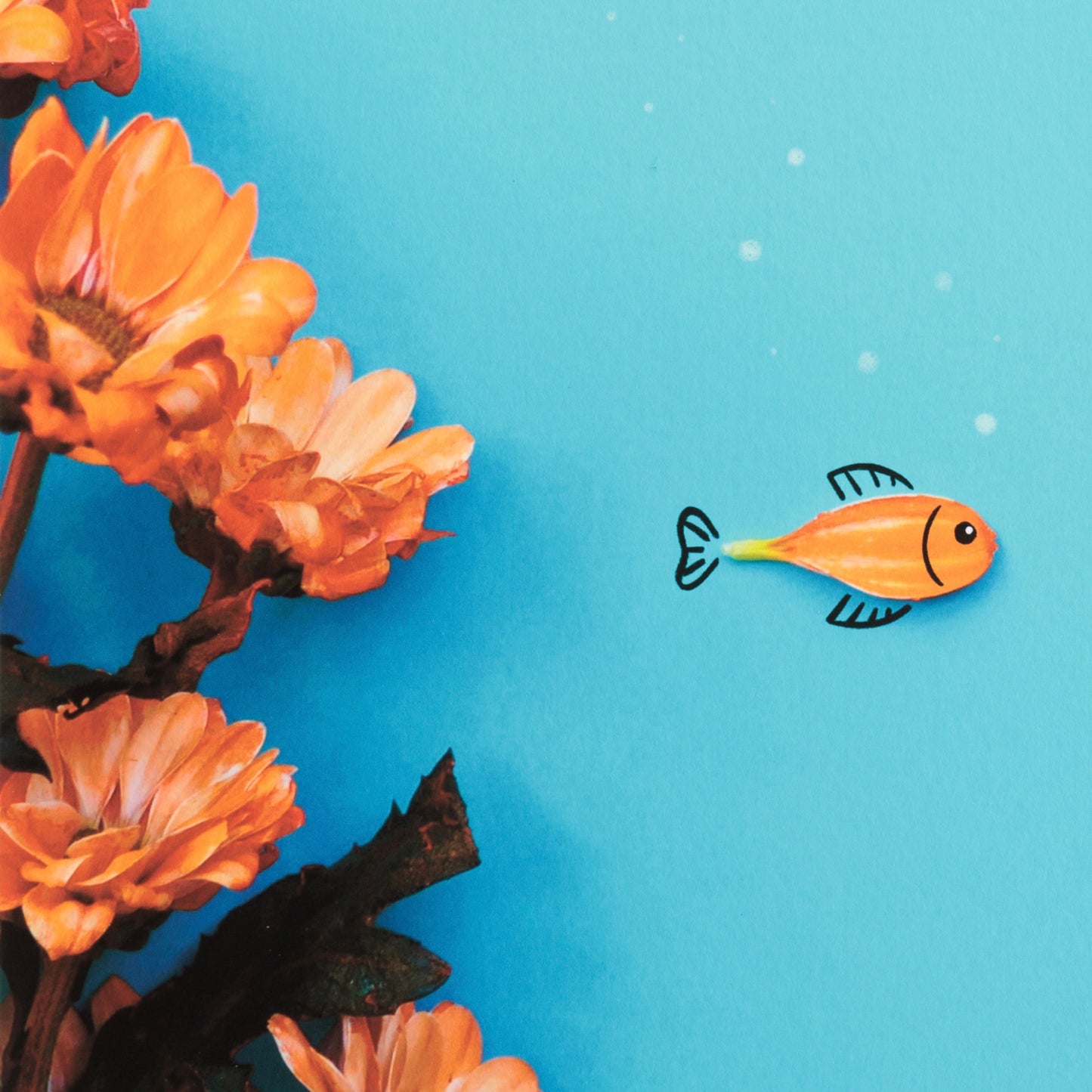 Romain Joly - Poisson Fleur (2025)