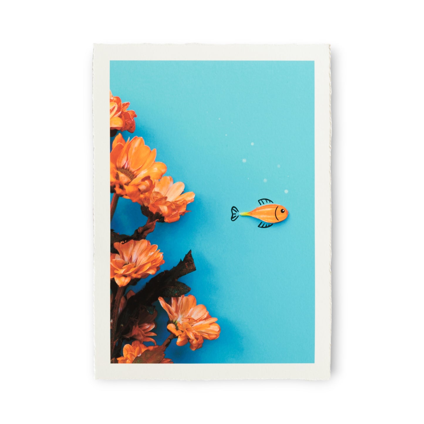 Romain Joly - Poisson Fleur (2025)