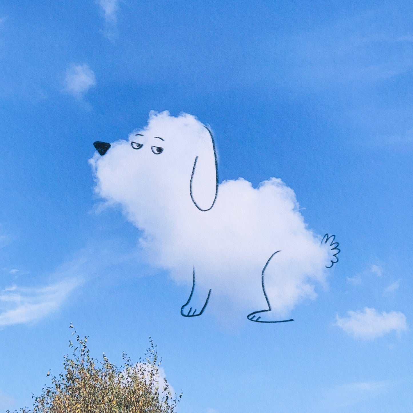 A Daily Cloud - Harumph (2025)