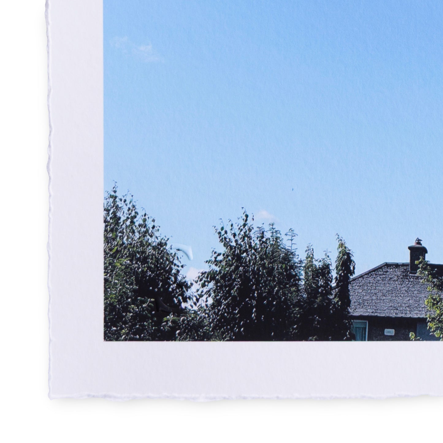 A Daily Cloud - Leapy (2025)