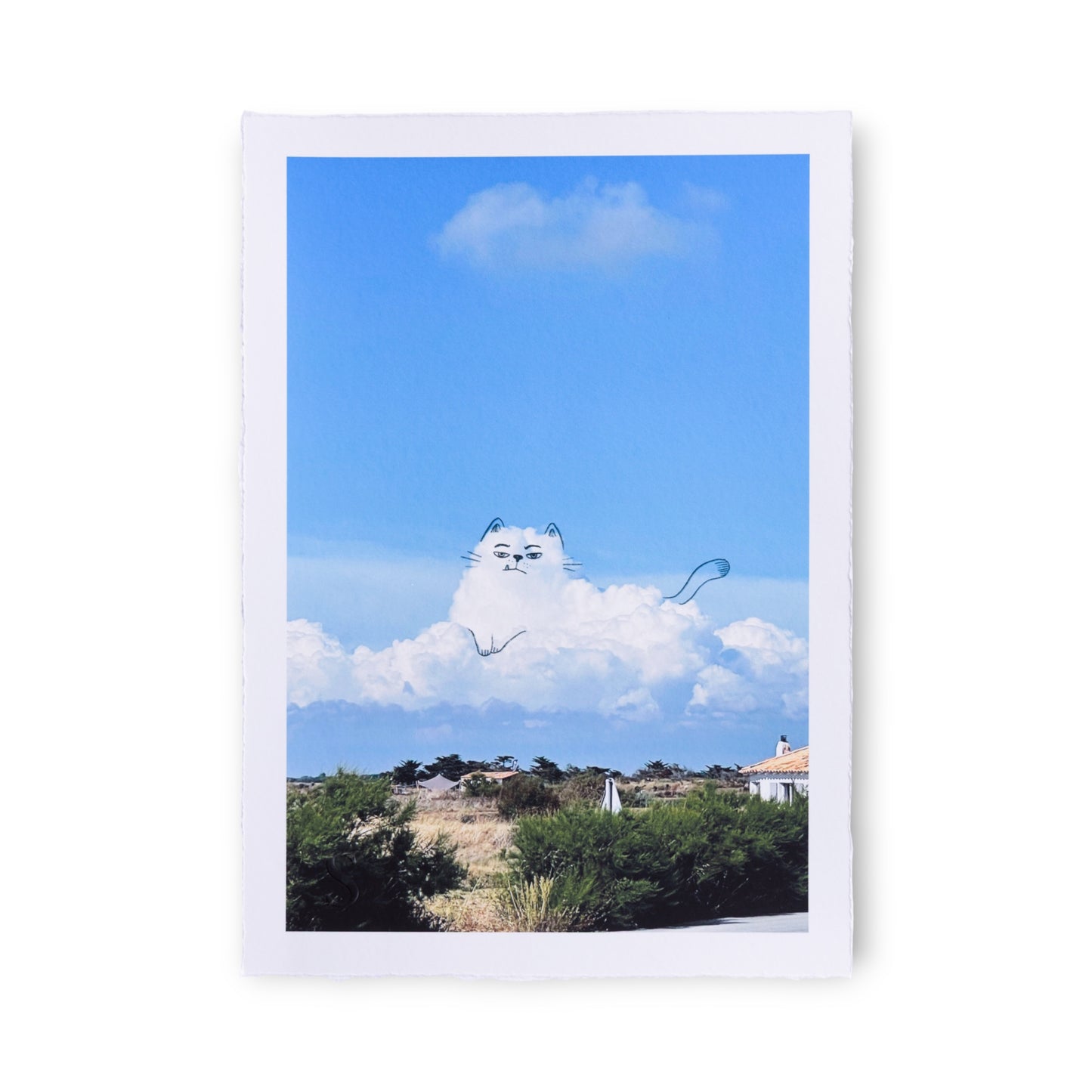 A Daily Cloud - Whatever (2025)
