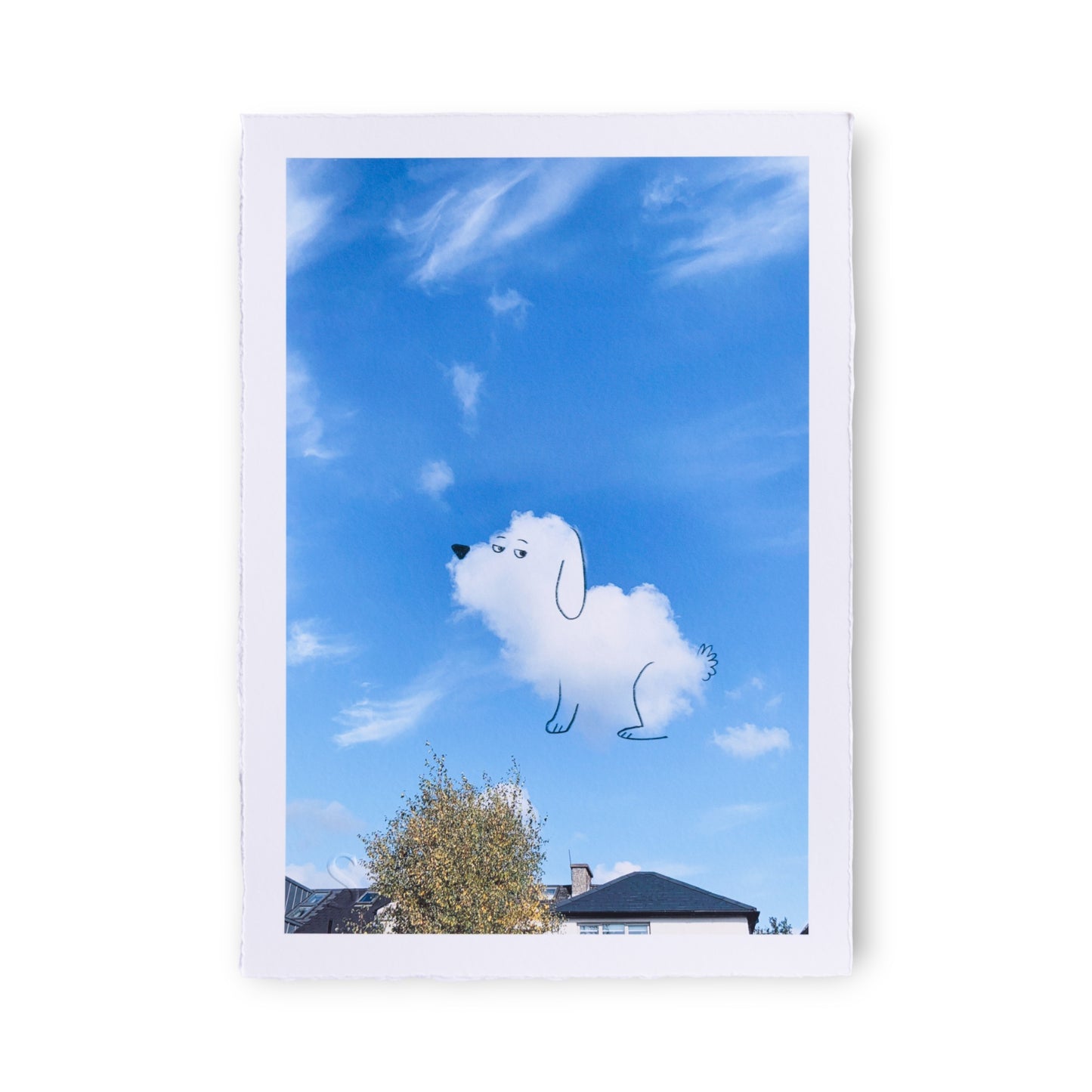 A Daily Cloud - Harumph (2025)