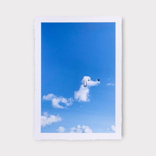 A Daily Cloud - Wait, What? (2025)