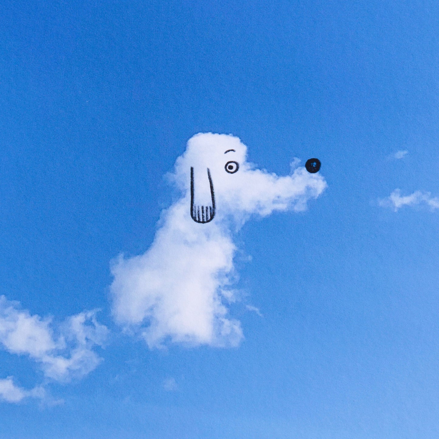 A Daily Cloud - Wait, What? (2025)