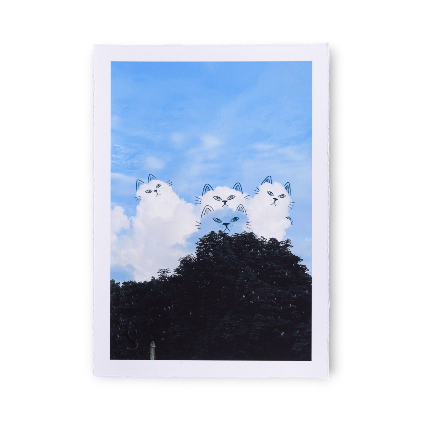 A Daily Cloud - The Boys (2025)
