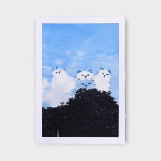 A Daily Cloud - The Boys (2025)