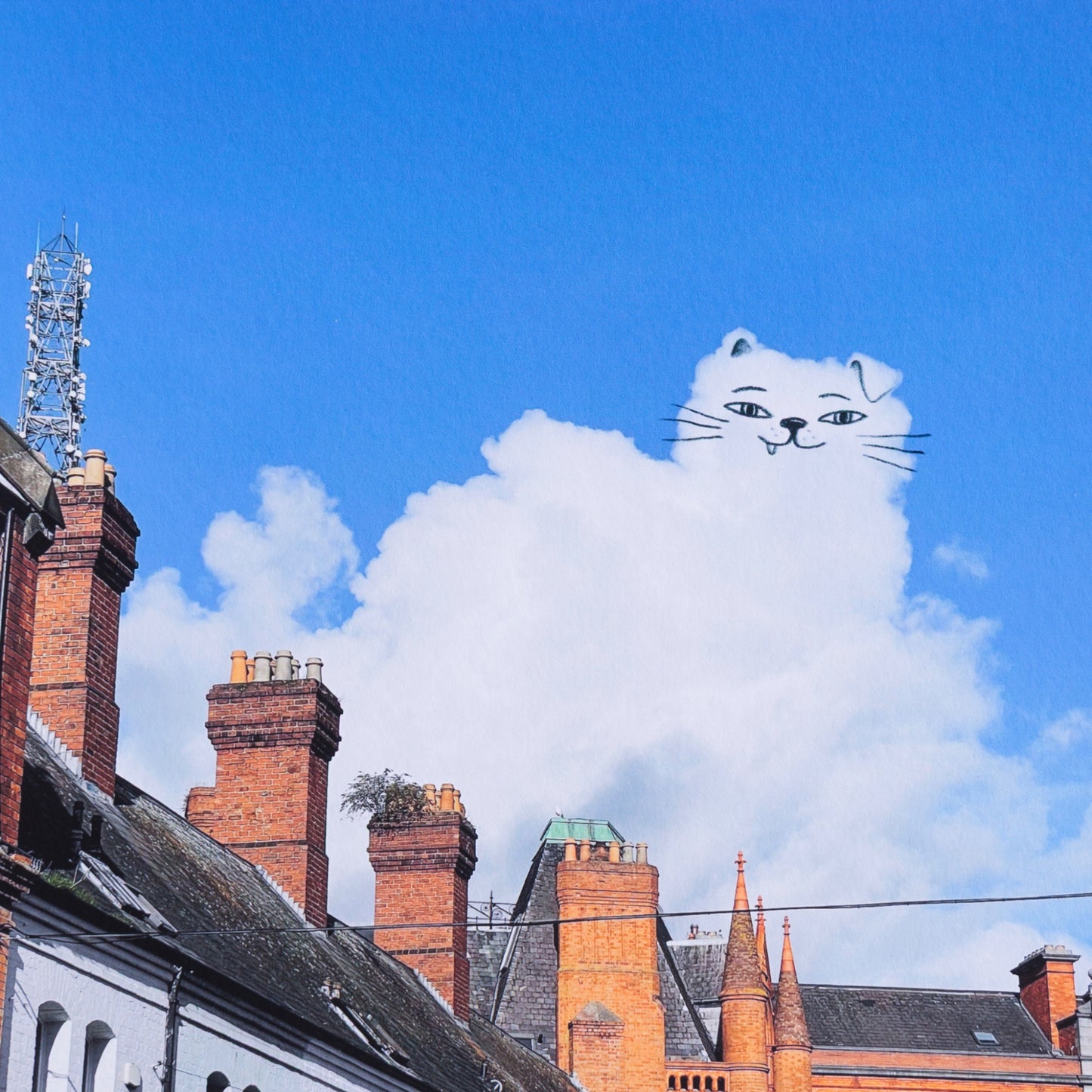 A Daily Cloud - Content Cat (2025)