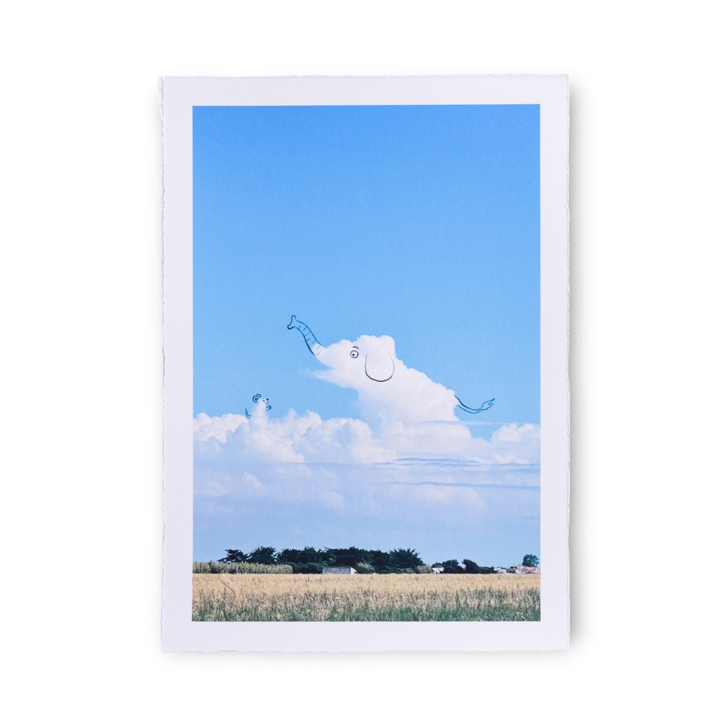 A Daily Cloud - Old Pals (2025)