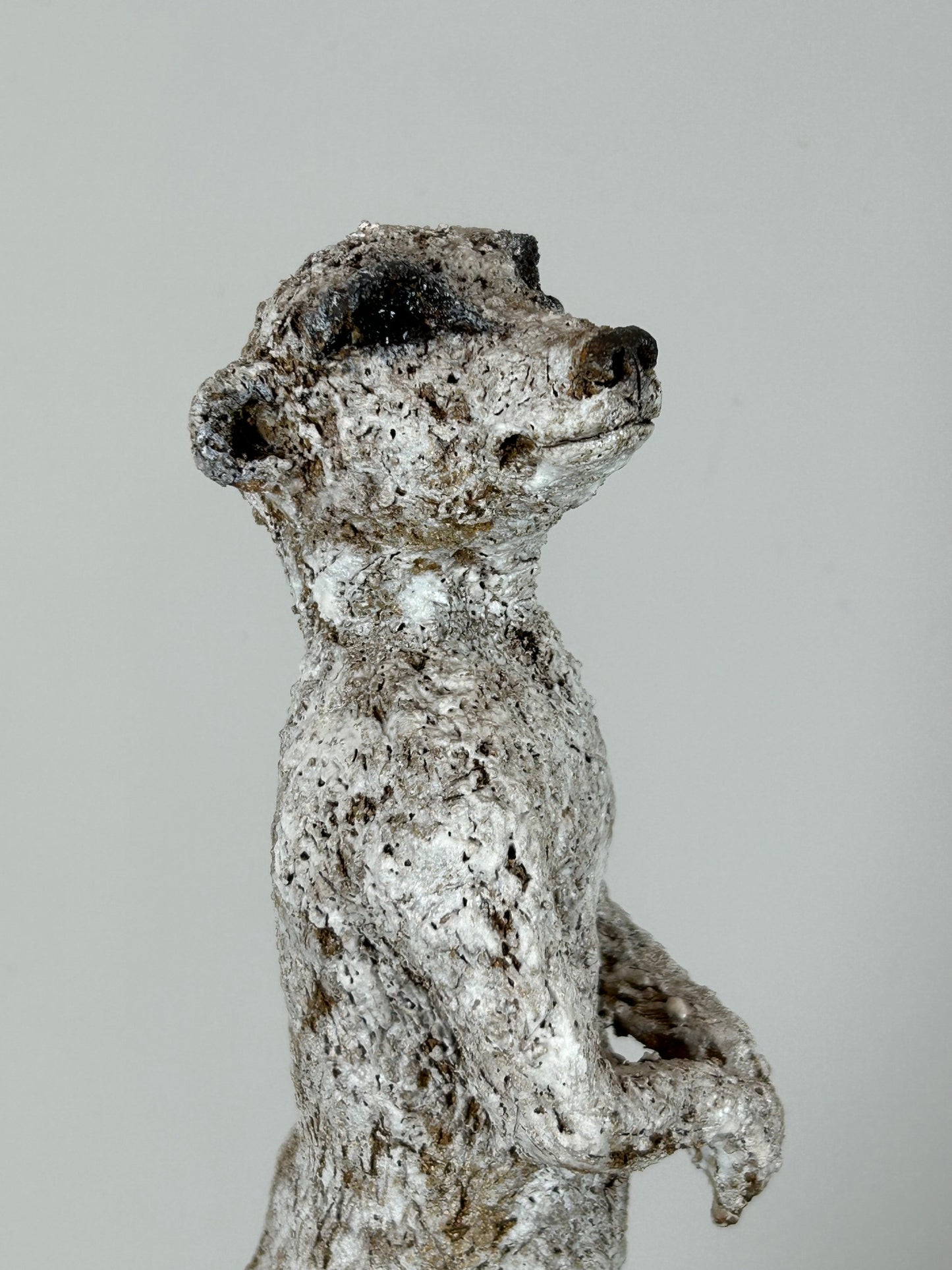 Jane Flint - Tippy