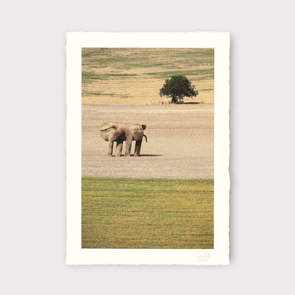 Things I Have Drawn - Sarah Contemplates Life (2025)