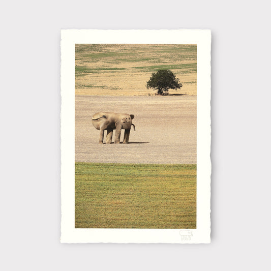 Things I Have Drawn - Sarah Contemplates Life (2025)