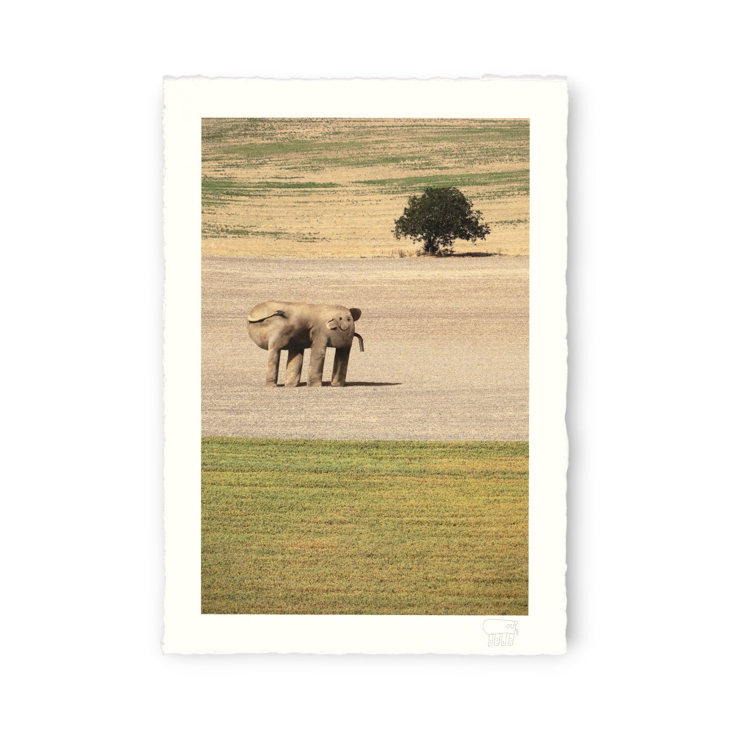 Things I Have Drawn - Sarah Contemplates Life (2025)