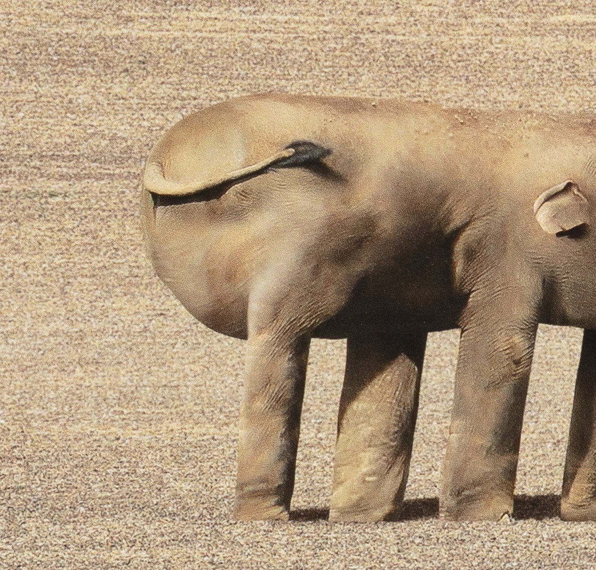 Things I Have Drawn - Sarah Contemplates Life (2025)