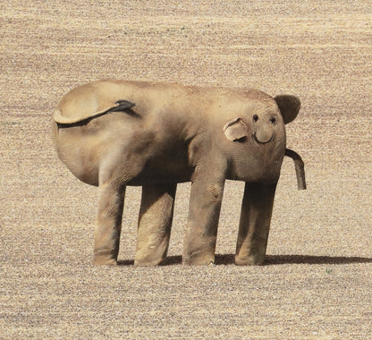 Things I Have Drawn - Sarah Contemplates Life (2025)