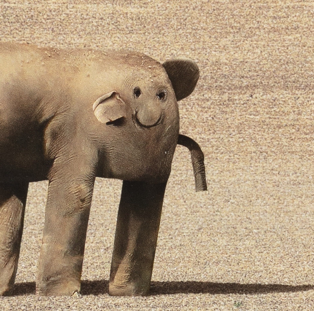 Things I Have Drawn - Sarah Contemplates Life (2025)