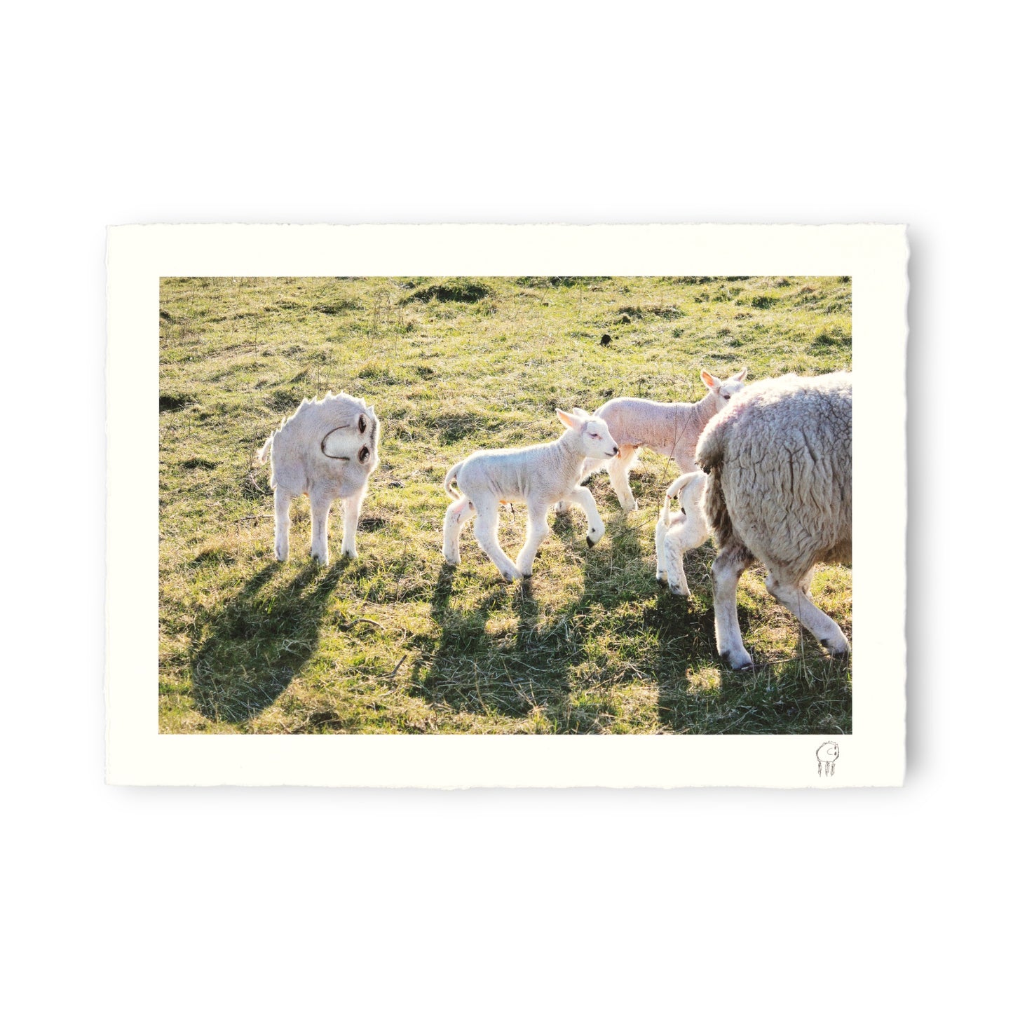 Things I Have Drawn - Toby Takes His Time (2025)