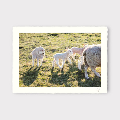 Things I Have Drawn - Toby Takes His Time (2025)