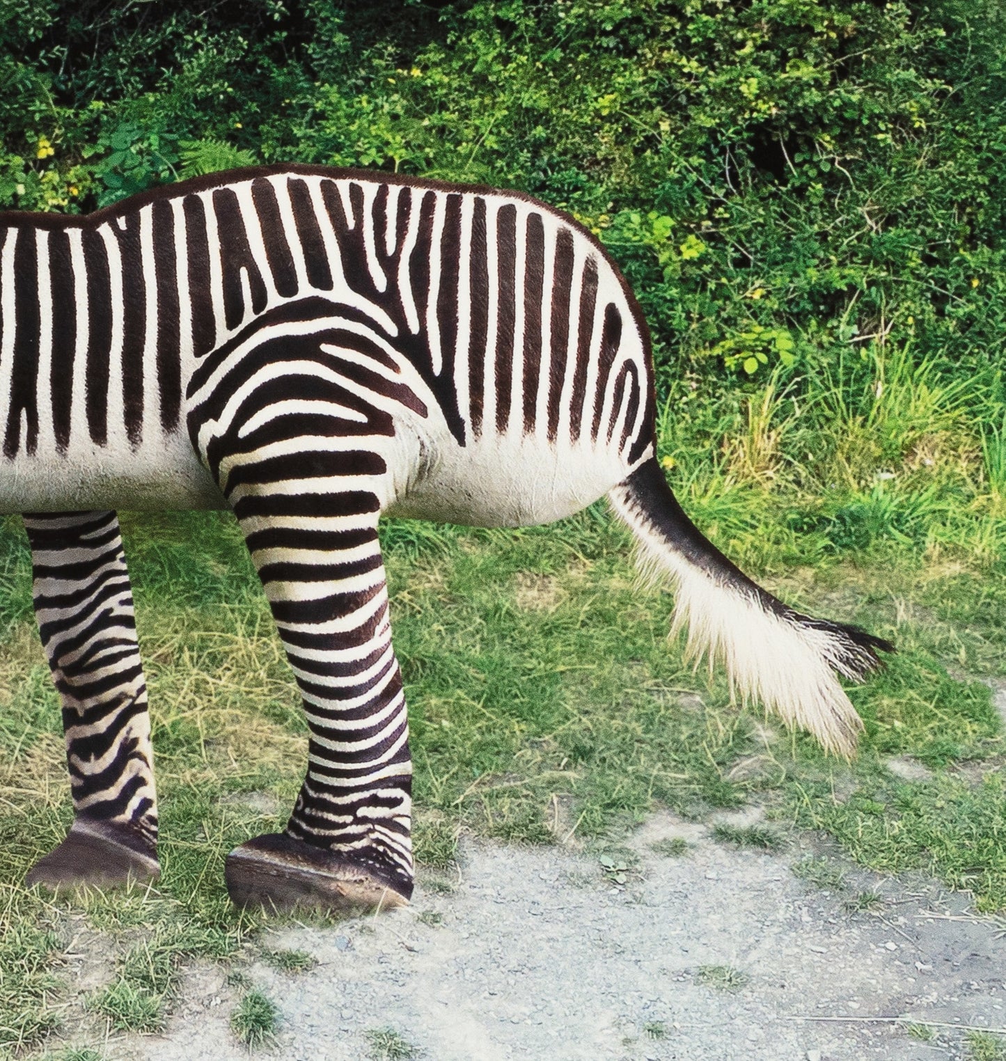 Things I Have Drawn - Maggie Doesn't Care (2025)