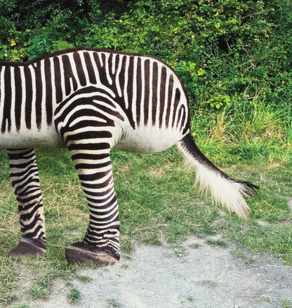 Things I Have Drawn - Maggie Doesn't Care (2025)