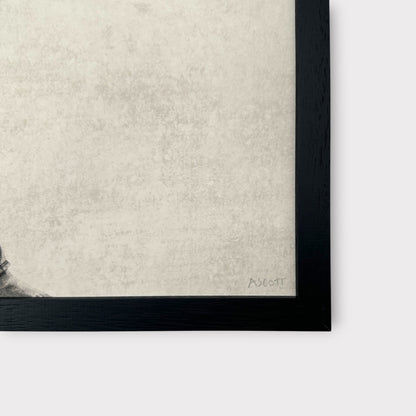 Andrew Scott - Love Letters (2026)