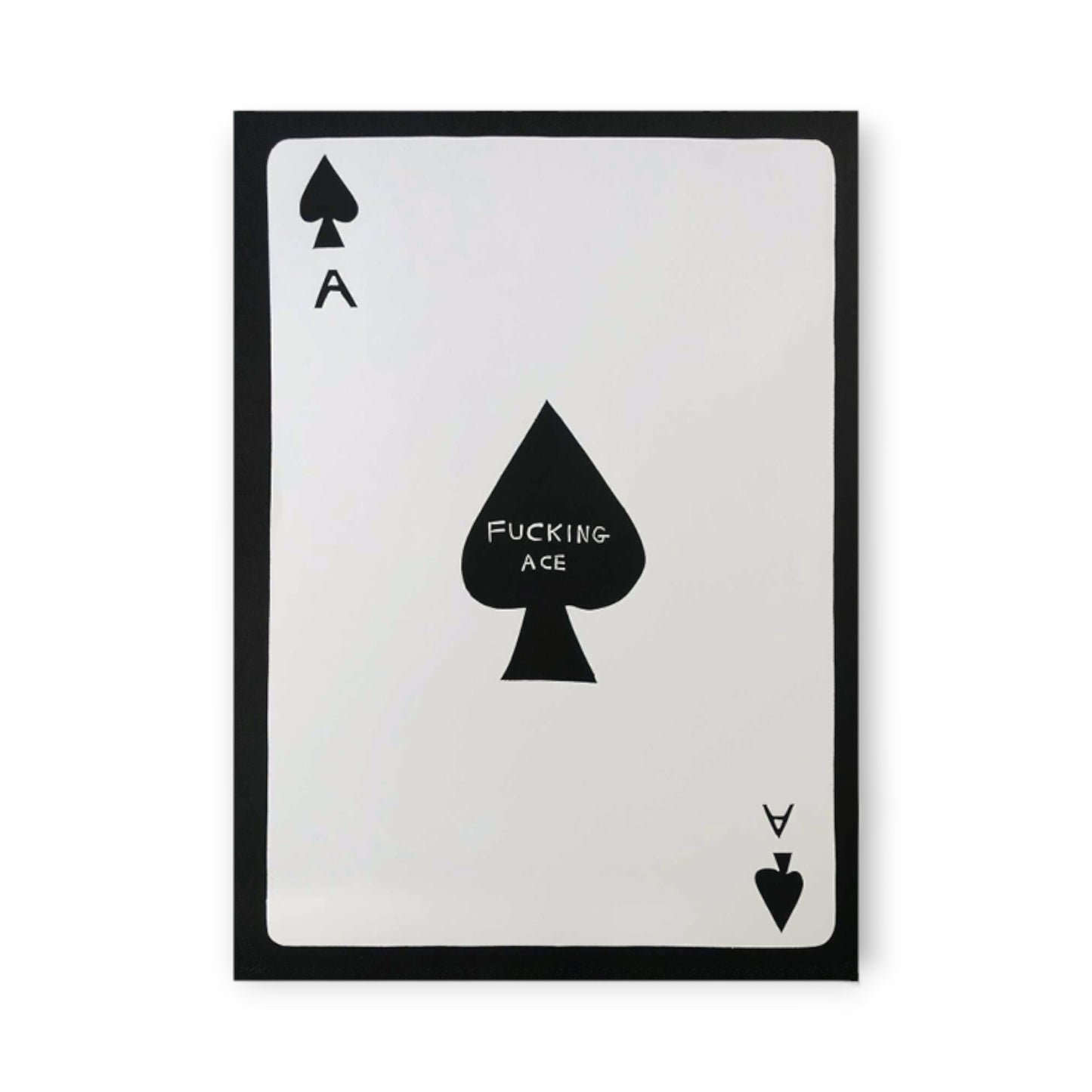 David Shrigley - Fucking Ace (2019)