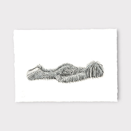 Hairy Monster - Felix (2025)
