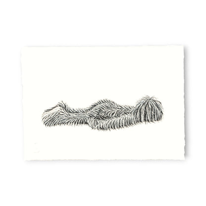 Hairy Monster - Felix (2025)