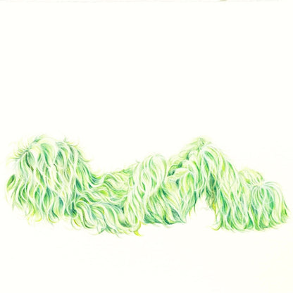 Hairy Monster - Thomas (2025)