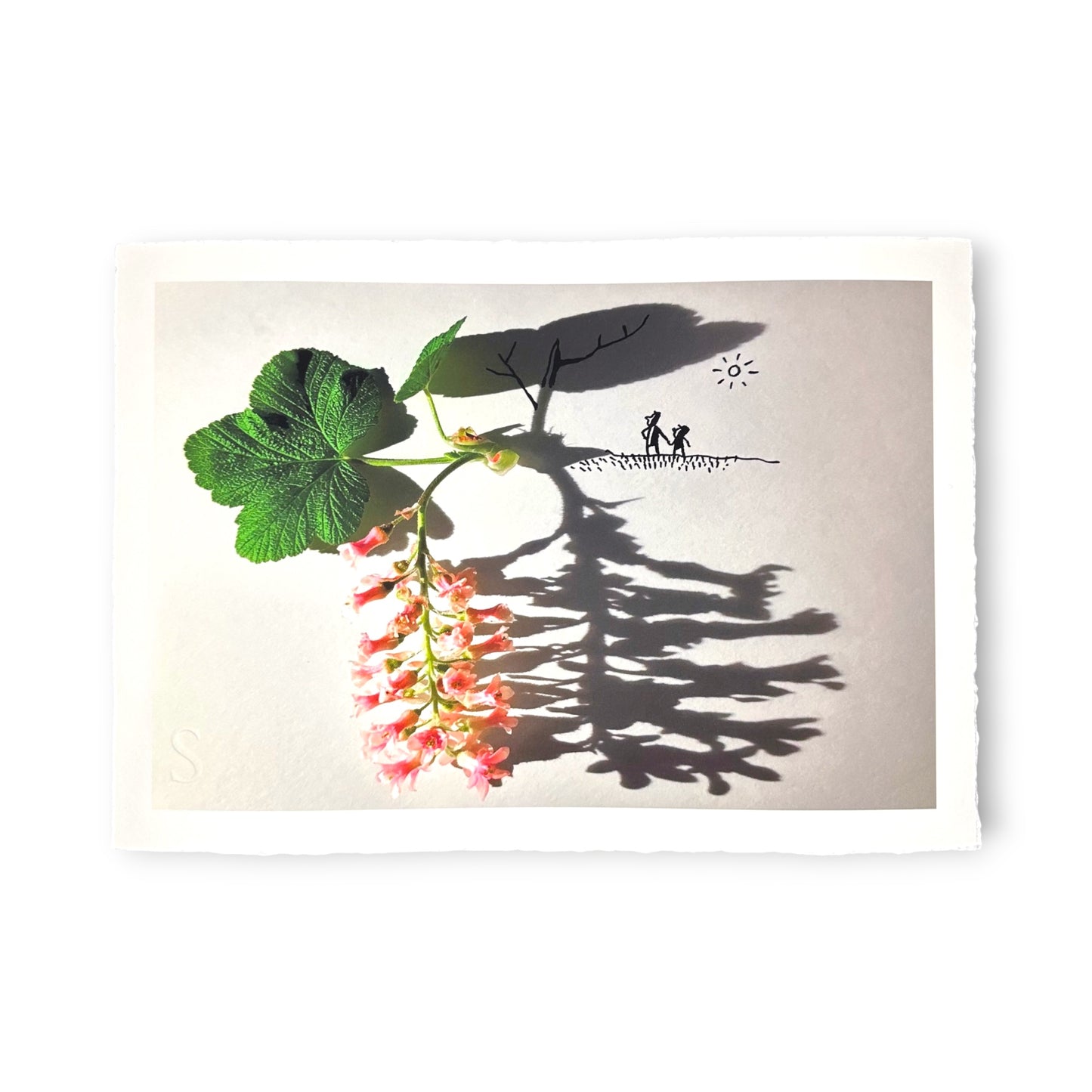 Vincent Bal - Strong Plants Have Deep Roots (2025)