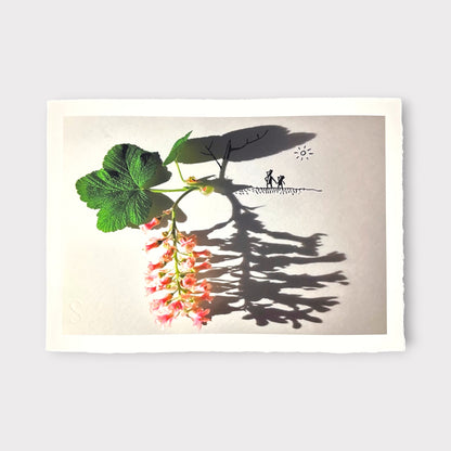 Vincent Bal - Strong Plants Have Deep Roots (2025)
