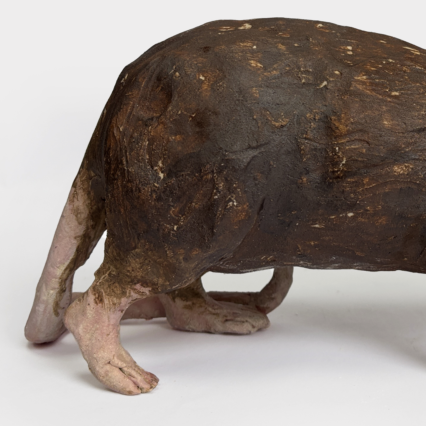 Jemma Gowland - Rat Rider 2 (2026)